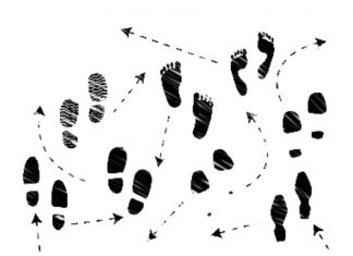 دو فعالیت برای کلاس نگارش و ادبیات