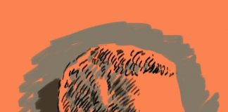 کوچ بنفشهها کوچ بنفشهها