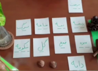 درختها قصه سفر