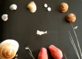 قصه ماهی و دریا قصه ماهی و دریا