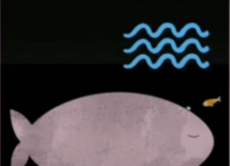 قصه ماهی و دریا ۲ ماهی و دریا